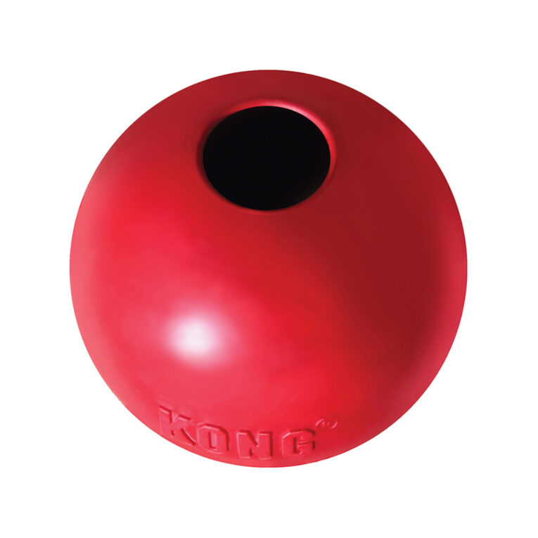 kong-ball-paichnidi-skylou-me-trypa1