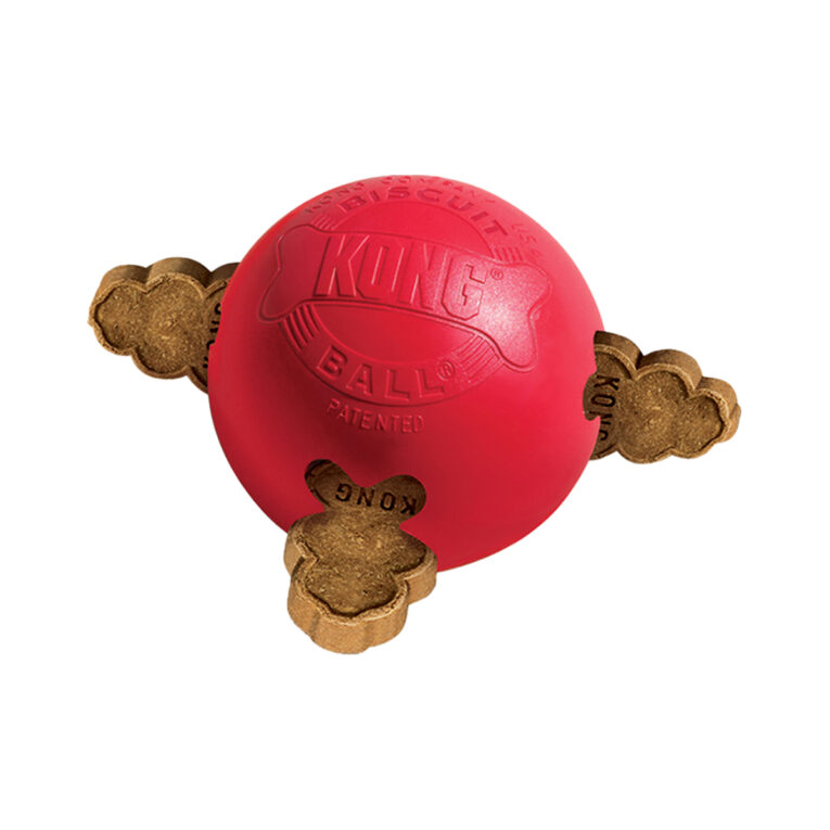 kong-biscuit-ball-paichnidi-skylou-small1