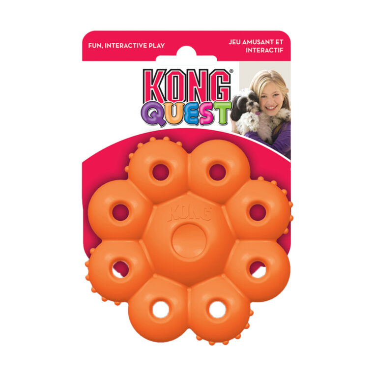 kong-quest-star-pods-paichnidi-skylou-small