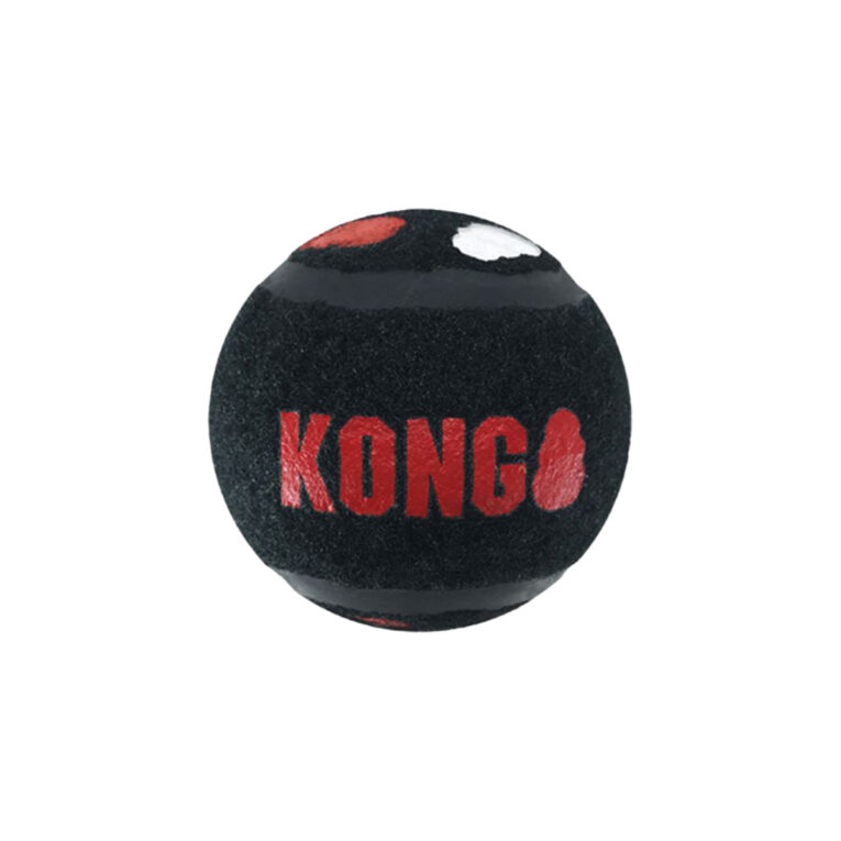 kong-signature-sport-balls-paichnidi-skylou