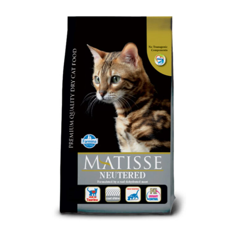 matisse-xiri-trofi-neutered-gatas-me-kotopoulo-kai-ryzi