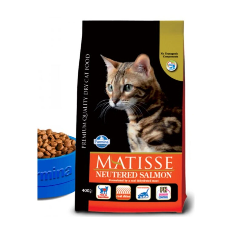 matisse-xiri-trofi-neutered-gatas-me-solomo-kai-ryzi