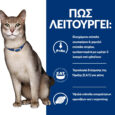 hills-prescription-diet-feline-k-d-kidney-care-kliniki-trofi-gatas-me-kotopoulo6