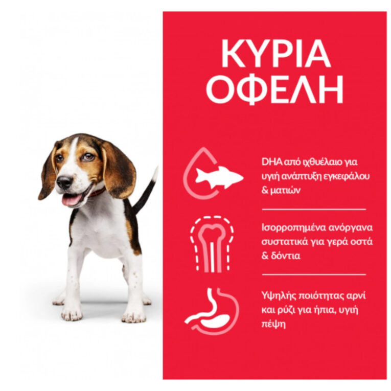 hills-science-plan-xiri-trofi-puppy-large-breed-gia-koutavia-me-kotopoulo1