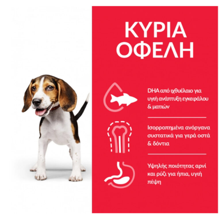 hills-science-plan-xiri-trofi-puppy-medium-gia-koutavia-me-arni-kai-ryzi2