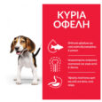 hills-science-plan-xiri-trofi-puppy-medium-gia-koutavia-me-kotopoulo2