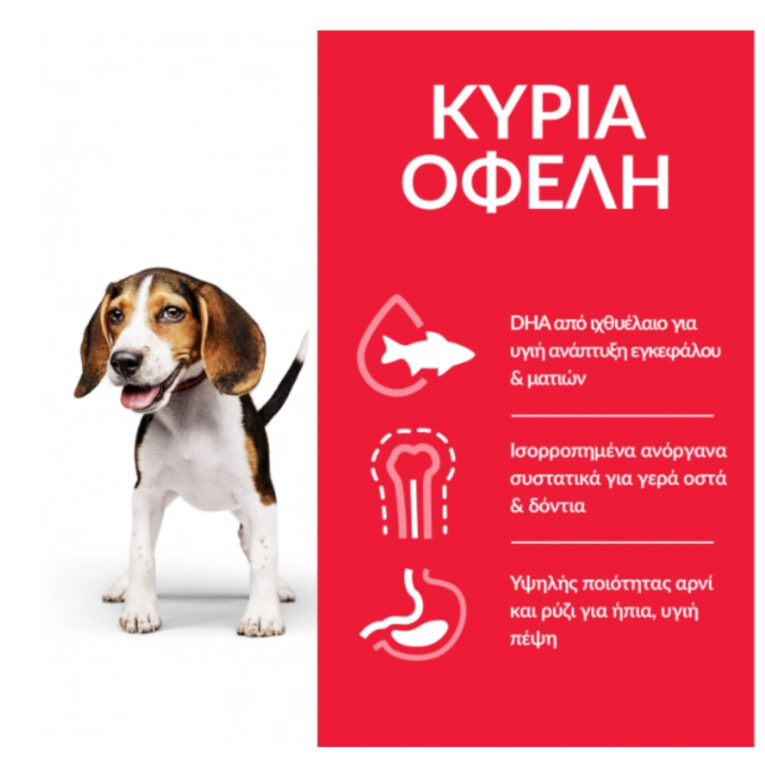 hills-science-plan-xiri-trofi-puppy-medium-gia-koutavia-me-kotopoulo2