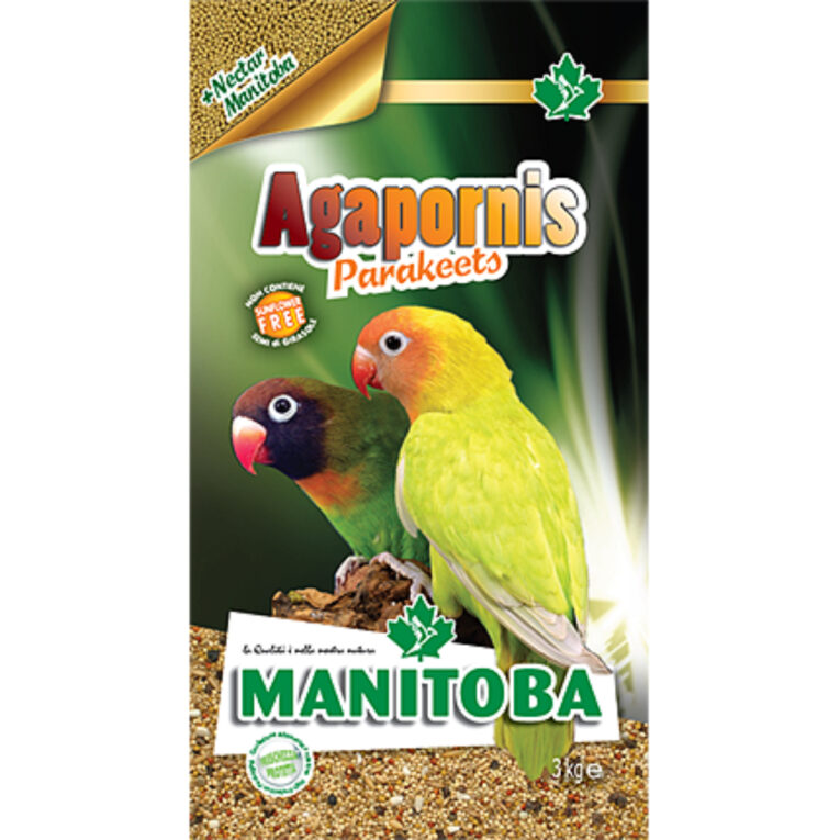 manitoba-agapornis-parakeets-trofi-gia-mesaious-papagalous-1kg