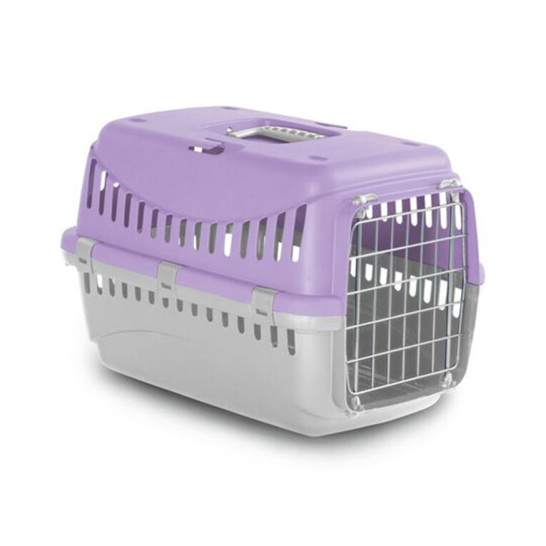 pet-camelot-klouvi-metaforas-gatas-vission-se-lila
