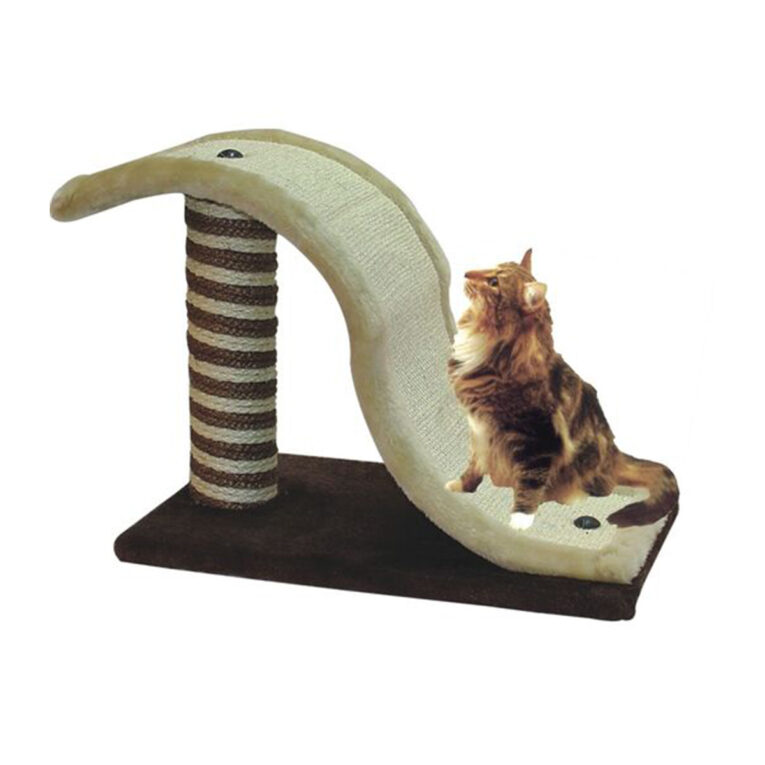 pet-camelot-onychodromio-gatas-sanida