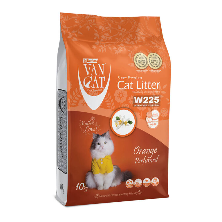 van-cat-orange-psili-ammos-gatas